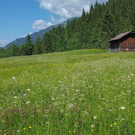 Naturzeithof Hirschegg (Vorarlberg) Esterno foto