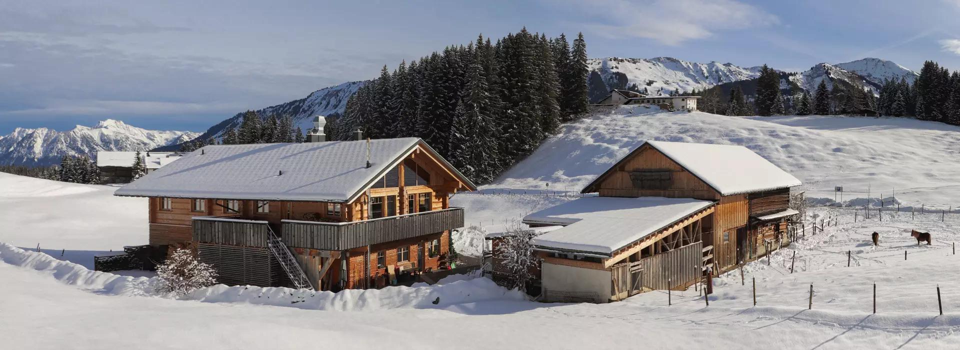 Naturzeithof Hirschegg (Vorarlberg) Esterno foto